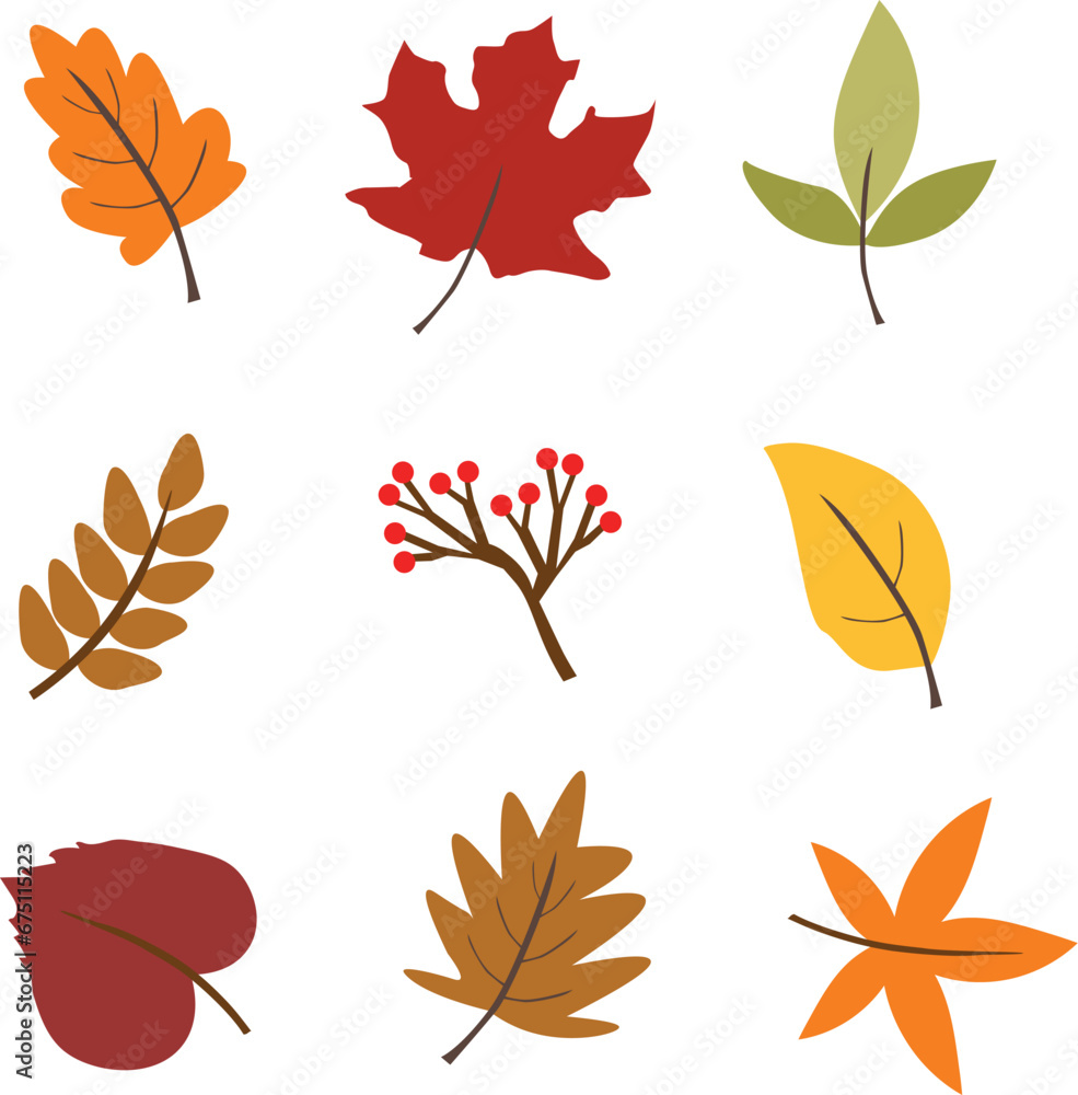 Obraz premium set of autumn leaves