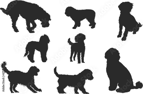 Labradoodle silhouette, Labradoodle dog silhouette, Labradoodle clipart, Labradoodle icon, Dog silhouette