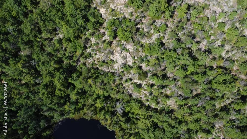 Aerial top view: dense green forest and rugged terrain, Killarney Provincial Park Aerial top view: dense green forest and rugged terrain, Killarney Provincial Park