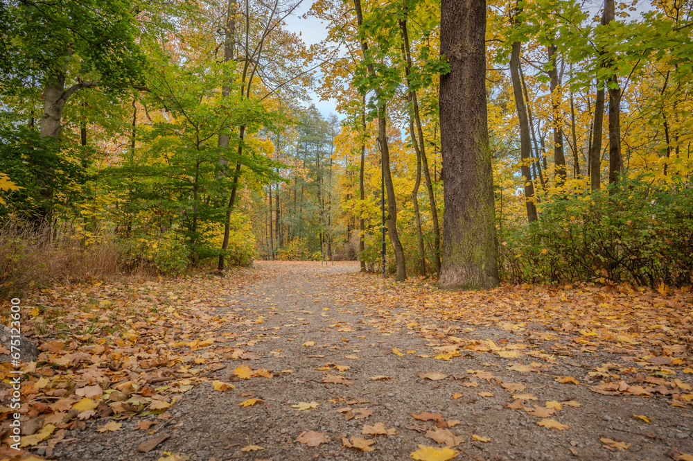 Obraz premium Herbst in Gmünd