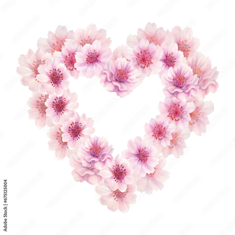 Watercolor pink heart drawn from cherry blossom flowers