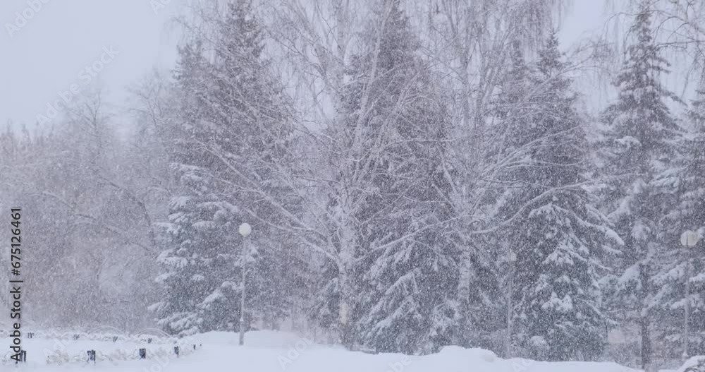 As the train moves, the woods unveil their winter garb, each branch weighed down by thick snow and ice. As the train moves, the woods unveil their winter garb, each branch weighed down by thick snow and ice.