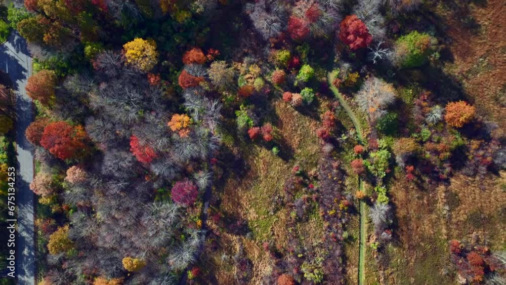 An aerial top down view high up over colorful trees by an empty road on a sunny day in New Jersey. The camera tilted straight, down dolly in over the trees. An aerial top down view high up over colorful trees by an empty road on a sunny day in New Jersey. The camera tilted straight, down dolly in over the trees.