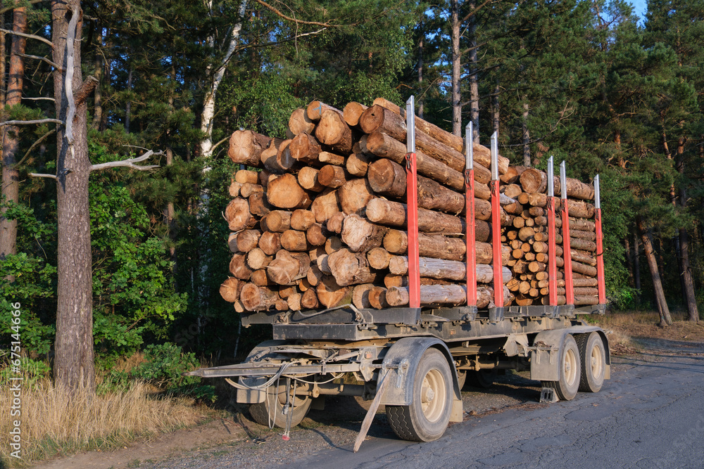 Baumstämme auf einem LKW-Anhänger am Waldrand (Holzwirtschaft, Fortswirtschaft)