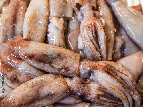 Fresh uncooked squid in grocery 