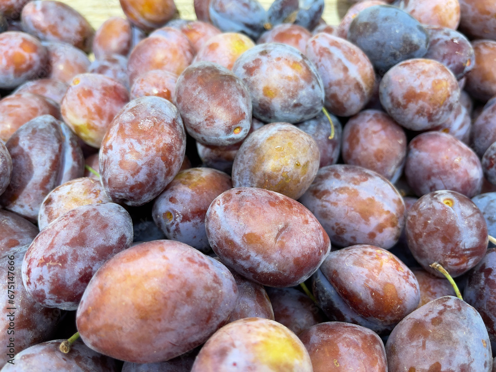 Obraz premium Fresh plums on display at farmers market, closeup of photo