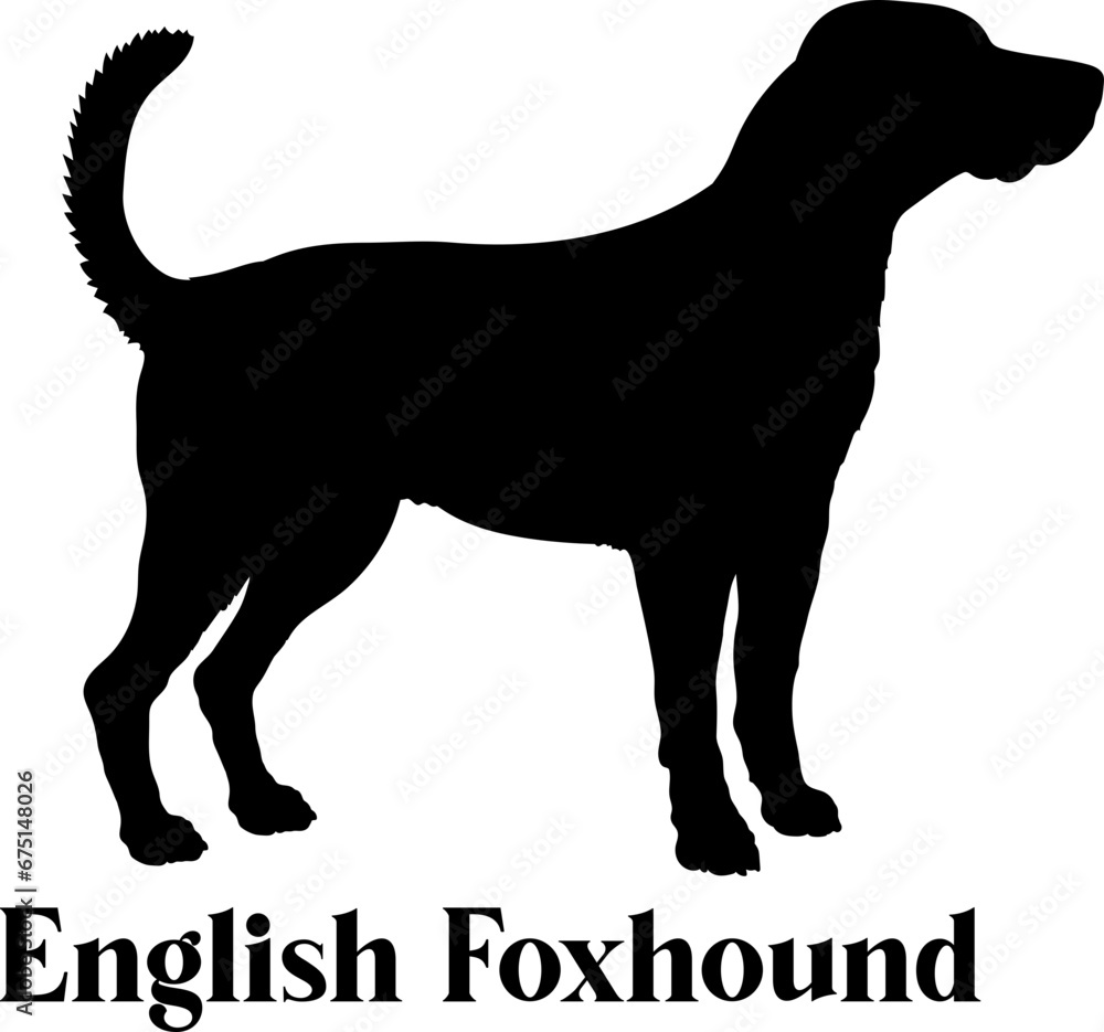 English Foxhound Dog silhouette dog breeds logo dog monogram logo dog face vector
SVG PNG EPS