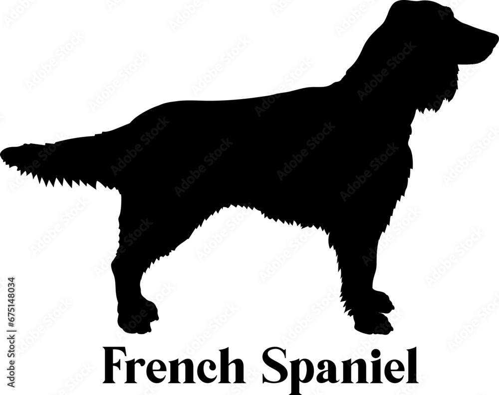 French Spaniel Dog silhouette dog breeds logo dog monogram logo dog face vector
SVG PNG EPS