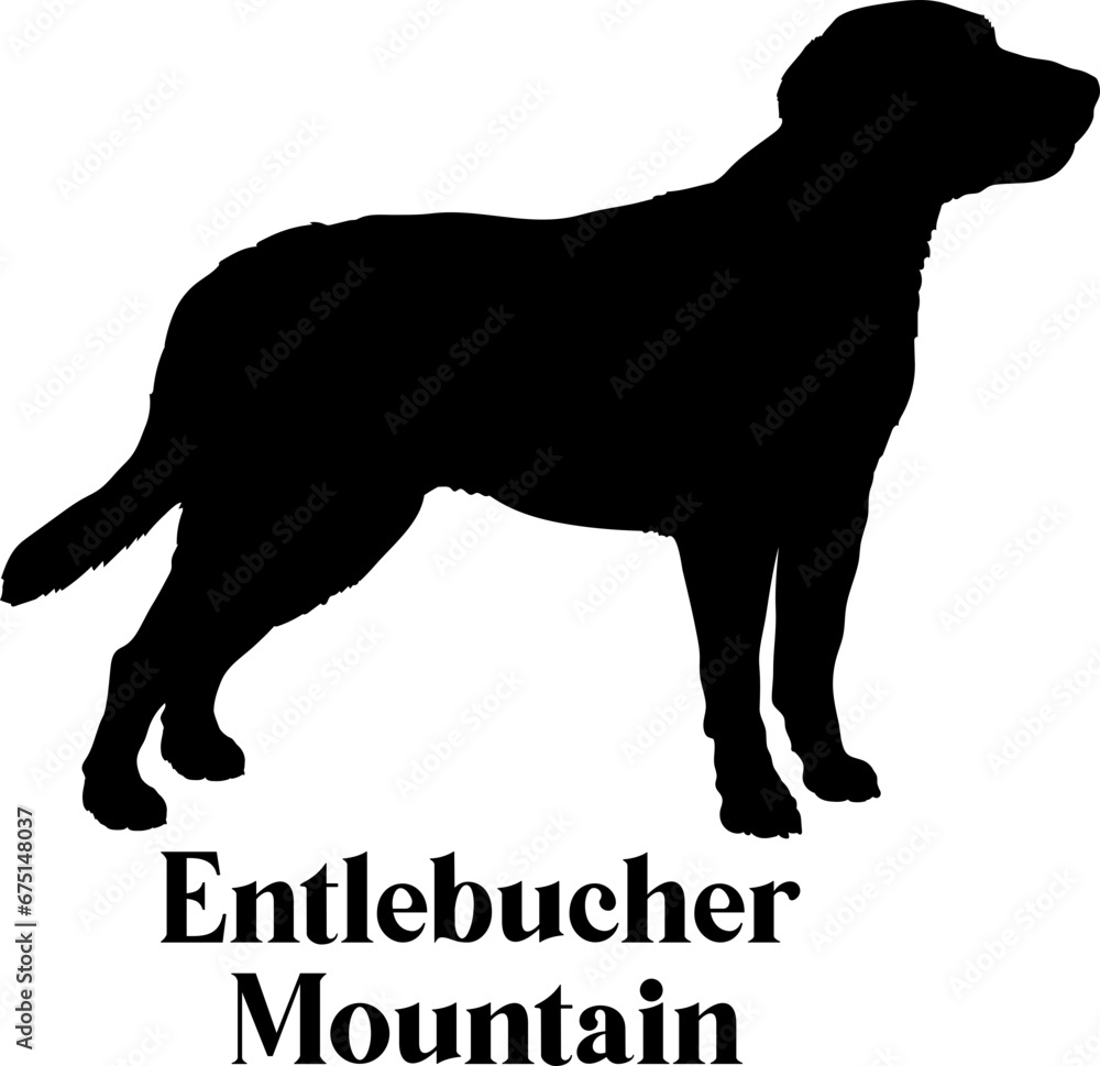 Entlebucher Mountain Dog silhouette dog breeds logo dog monogram logo dog face vector
SVG PNG EPS