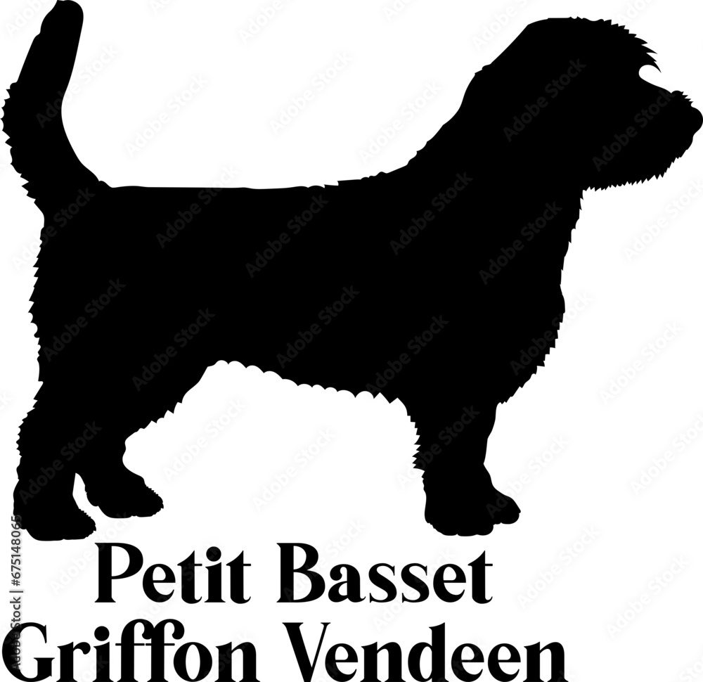 Petit Basset Griffon Vendeen Dog silhouette dog breeds logo dog monogram logo dog face vector
SVG PNG EPS