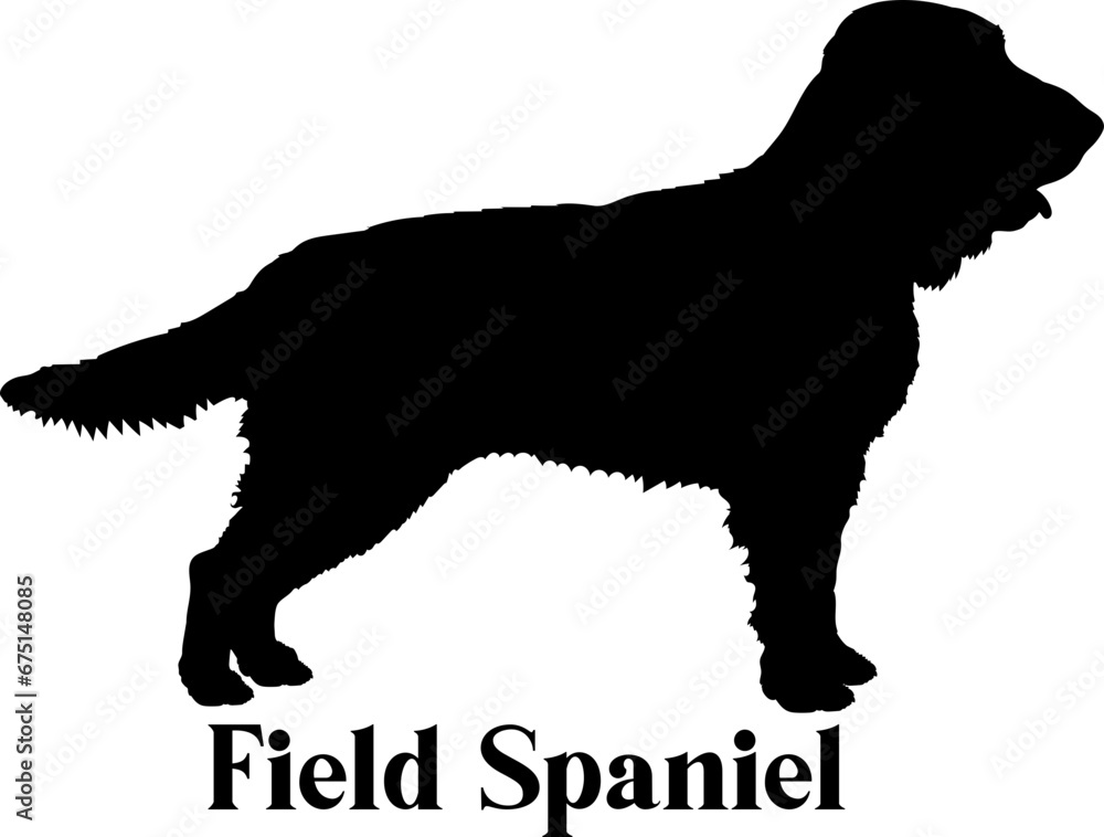 Field Spaniel Dog silhouette dog breeds logo dog monogram logo dog face vector
SVG PNG EPS