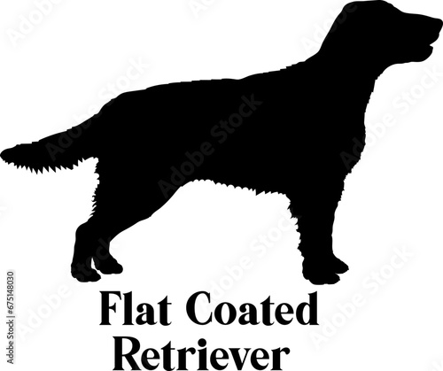 Flat Coated Retriever Dog silhouette dog breeds logo dog monogram logo dog face vector
SVG PNG EPS