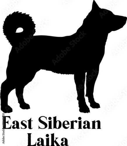 East Siberian Laika. Dog silhouette dog breeds logo dog monogram logo dog face vector
SVG PNG EPS