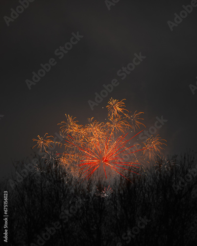 gold and red fireworks over trees
