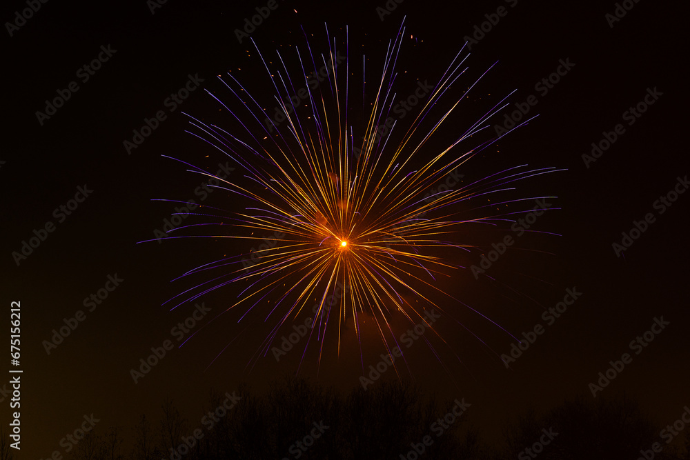 Fototapeta premium firework explosion over trees