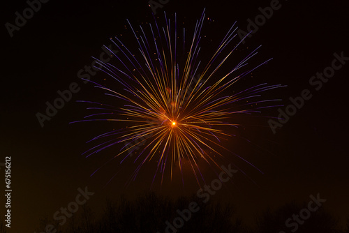 firework explosion over trees