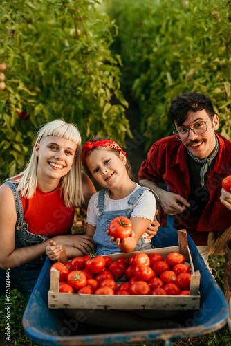Portrait of a parents and child working together to harvest tomatoes on their farm