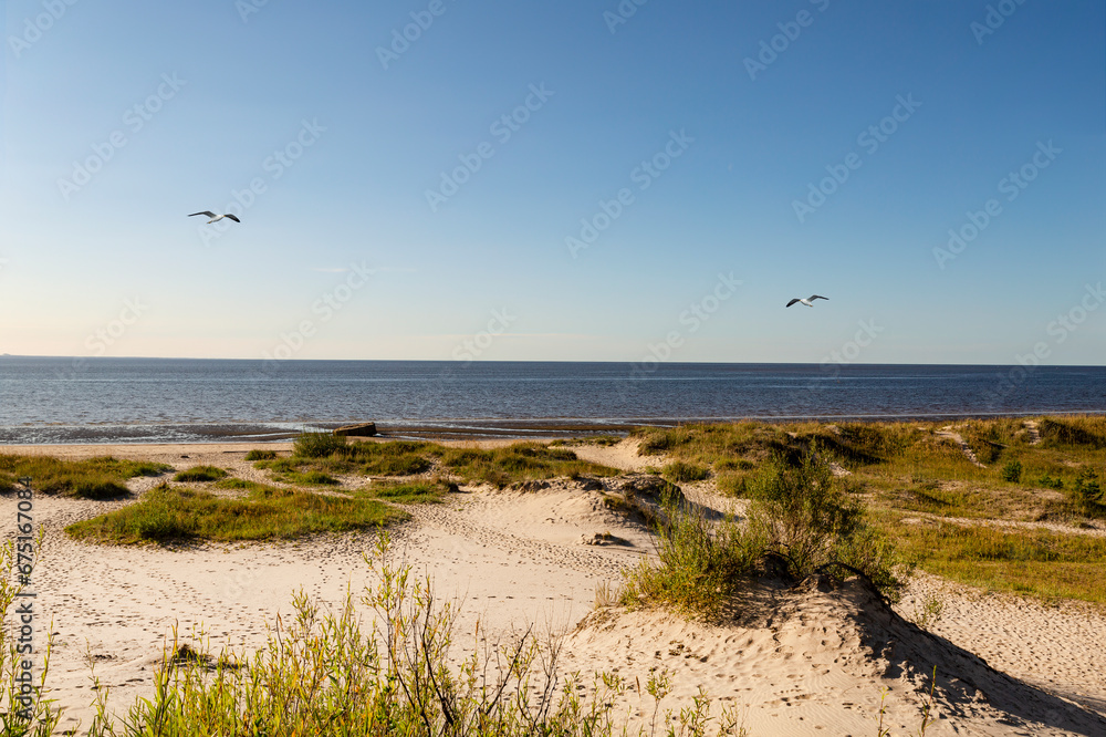 Picturesque sand dunes on the shores of the White Sea on Yagry Island. Severodvinsk, Arkhangelsk region, Russia