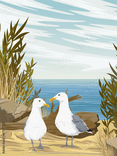 A flock of seagulls is looking for food on a sandy seashore with stones and bushes. Dry grass and sand on the coast. Realistic vector vertical landscape