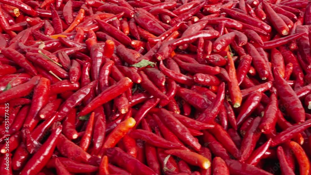 Ripe red hot chili peppers vegetable background. Ripe red hot chili peppers vegetable background.