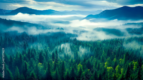 Aerial view of forest covered in fog and low lying clouds in the distance. © Констянтин Батыльчук