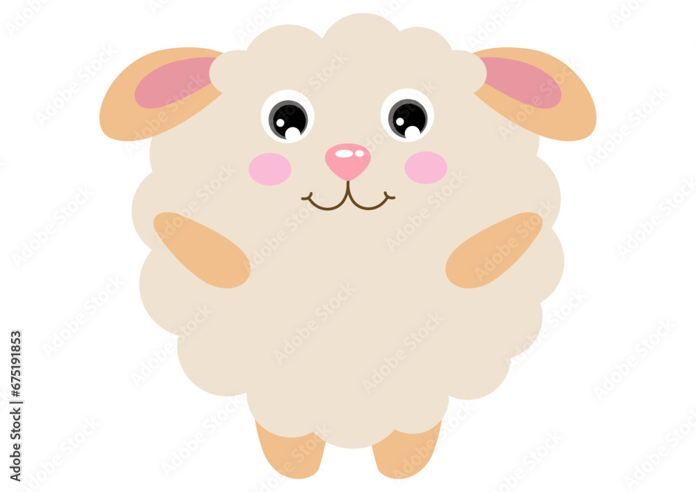 Fototapeta premium Cute sheep with round body
