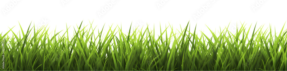 Green grass border set isolated on transparent background. Green grass border set isolated on transparent background.