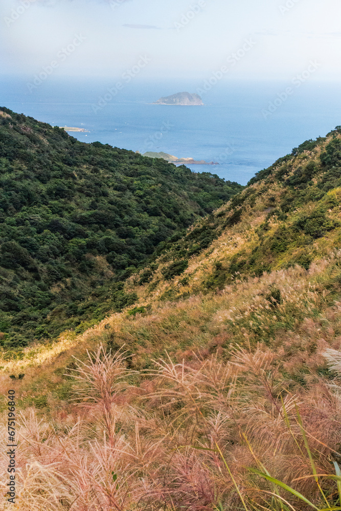the view of Keelung Islet from a valley covered with Miscanthus the view of Keelung Islet from a valley covered with Miscanthus