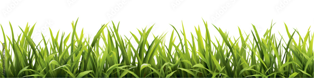Fototapeta premium Green grass border set isolated on transparent background.