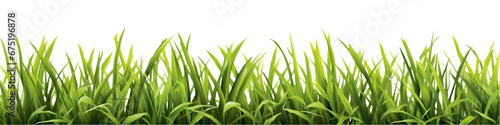 Green grass border set isolated on transparent background. 