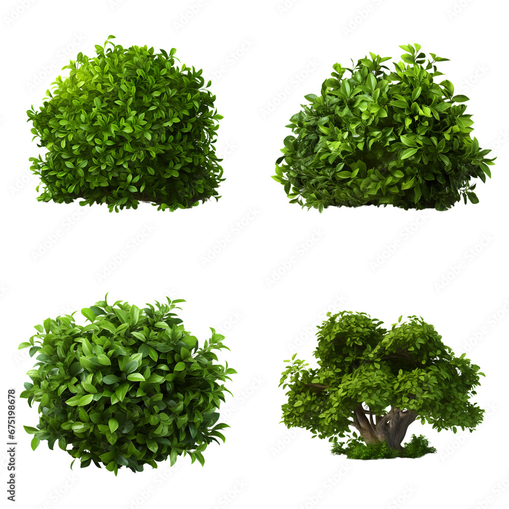 Set of plant bush tree isolated on transparent background Set of plant bush tree isolated on transparent background