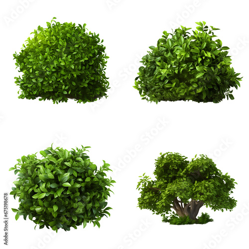 Set of plant bush tree isolated on transparent background photo