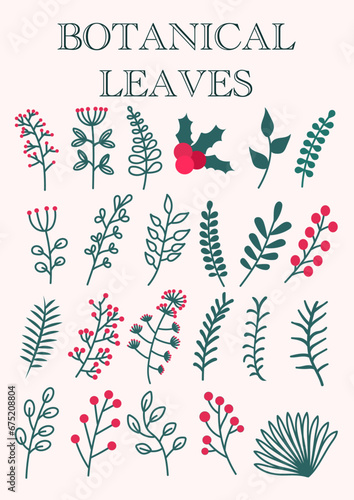 Botanical Leaves Vector Elements Illustration © ZENBOX