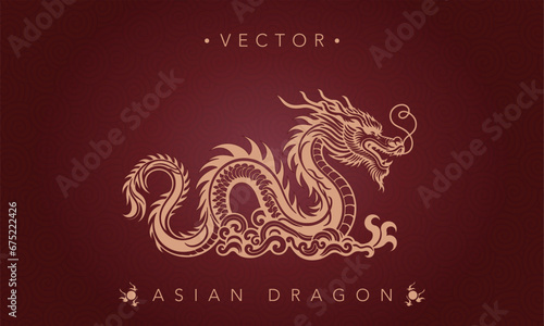 Asian traditional dragon pattern ancient Chinese dragon