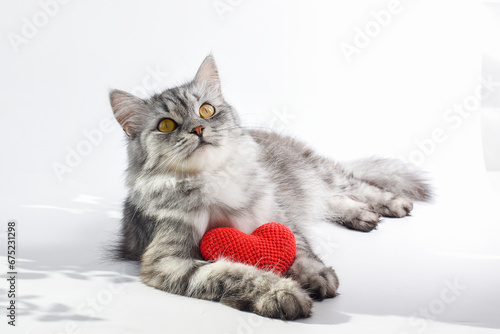 Striped gray cat looks at the top with a red knitted heart