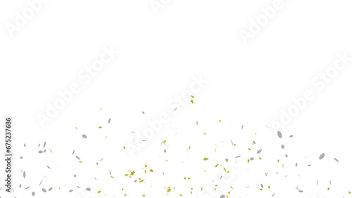 Golden & Silver confetti party popper explosions on White and Green backgrounds, Alpha Channel 4K greeting animation