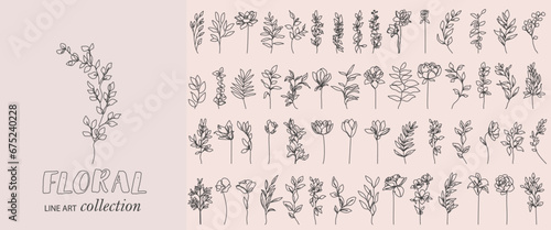 Set Of Plants, Flowers and Leaves Branches Line Art Drawing Black Sketch Isolated. Flowers One Line Illustration Collection for Minimalist Modern Design. Vector EPS 10  #675240228