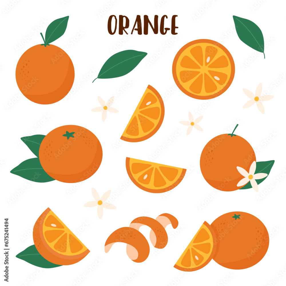 Orange set elements on white background. Orange set elements on white background.