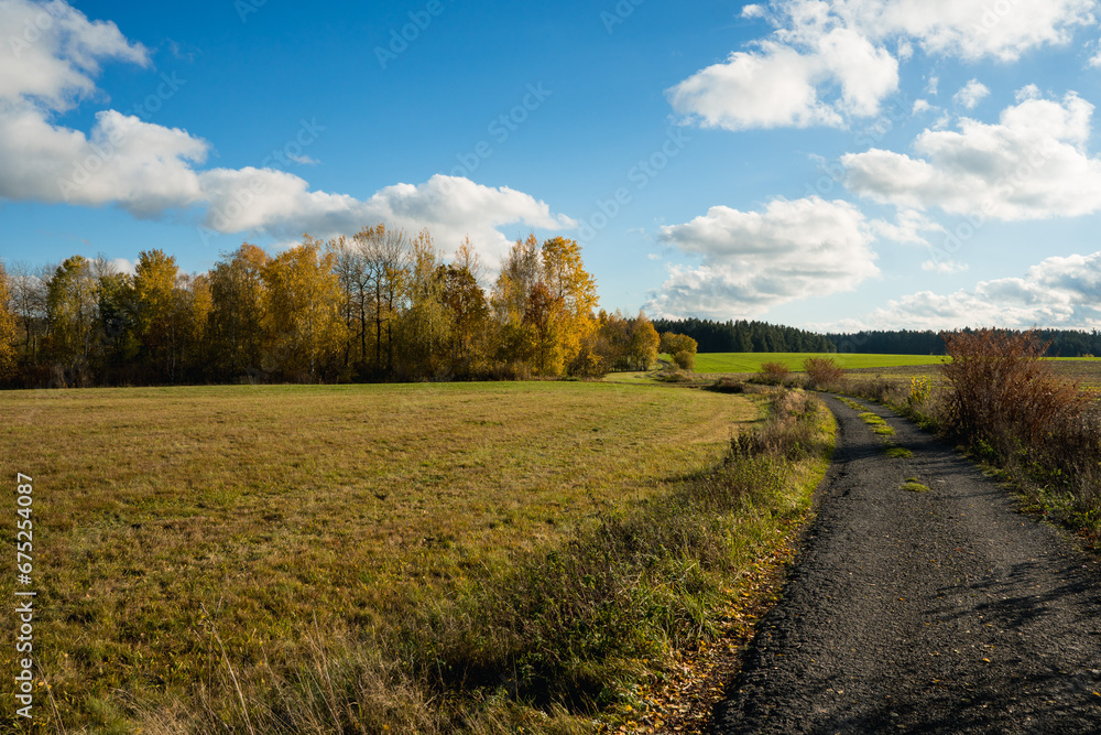 Colorful autumn landscape with vivid yellow and orange trees, sunlight, meadows, forests and fields