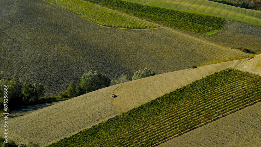 Panorama autonnale dei vigneti e calanchi del gesso nei dintorni di Brisighella, provincia di Ravenna. Emilia Romagna, Italia