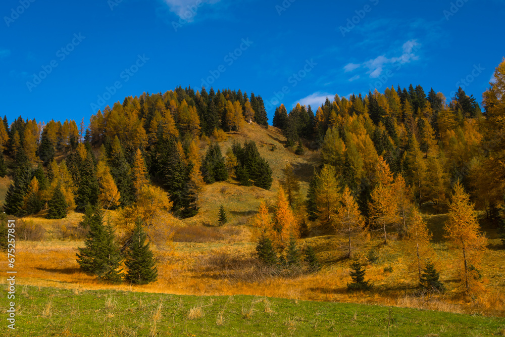 Il foliage autunnale sulle Dolomiti bellunesi ai piedi del Monte Pelmo