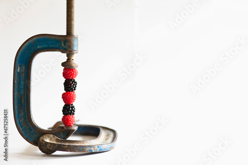 Close up of a metal clamp holding together raspberries and blackberries
