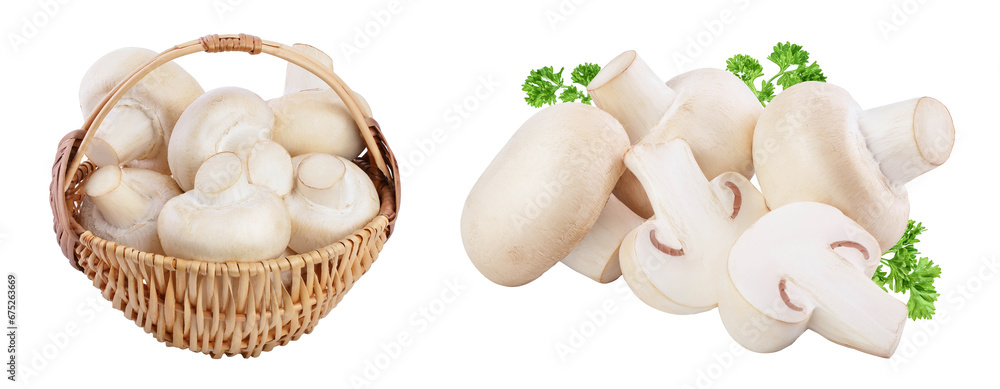 Fototapeta premium Fresh mushroom champignon in a wicker basket isolated on white background