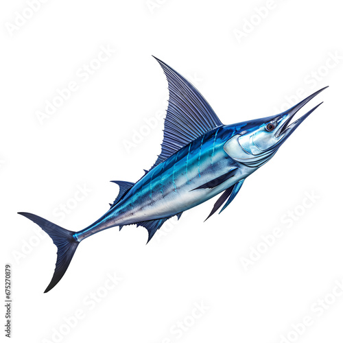 Marin fish on transparent background PNG. Sport fishing concept.