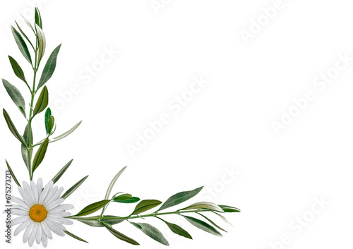 Bordure de cadre bucolique avec  rameaux d’olivier et fleurette  photo