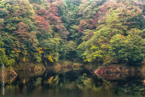 茨城県常陸太田市 紅葉が始まった竜神ダム周辺の風景