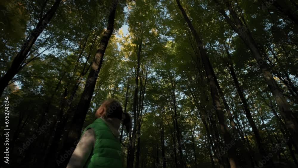 Little girl walking through tall trees in forest. Wide footage Little girl walking through tall trees in forest. Wide footage