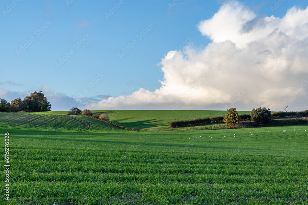 A view over farmland near Hamsey in Sussex, on a sunny November day