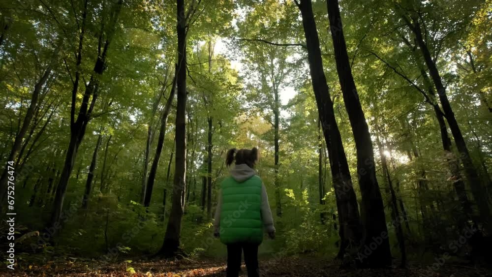 Little girl walking through tall trees in forest. Wide view footage Little girl walking through tall trees in forest. Wide view footage