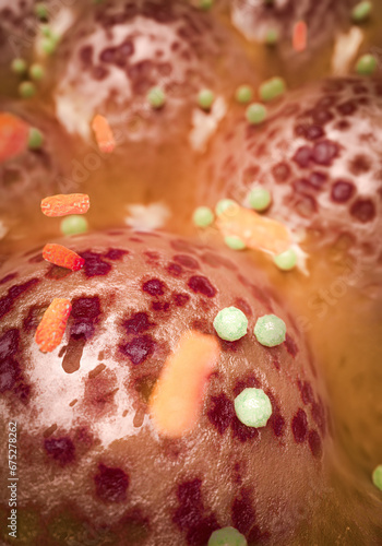 3D Rendering of Gut Flora Imbalance photo